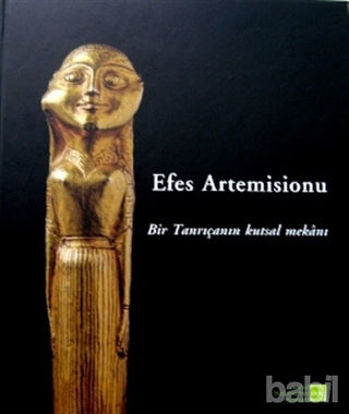 Picture of Efes Artemisionu