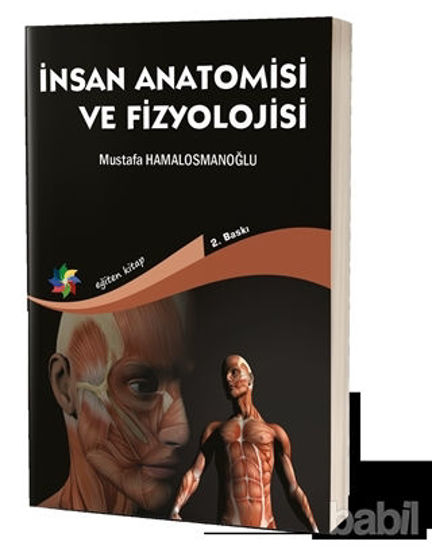 Picture of İnsan Anatomisi ve Fizyolojisi