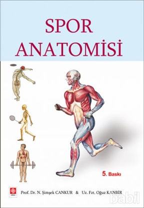 Picture of Spor Anatomisi