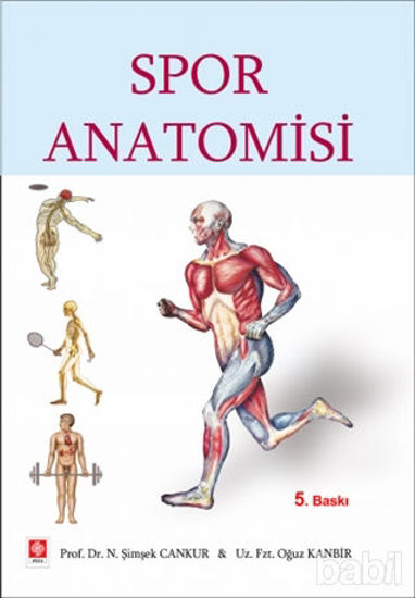 Picture of Spor Anatomisi