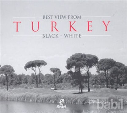 Picture of Best View From Turkey Black - White