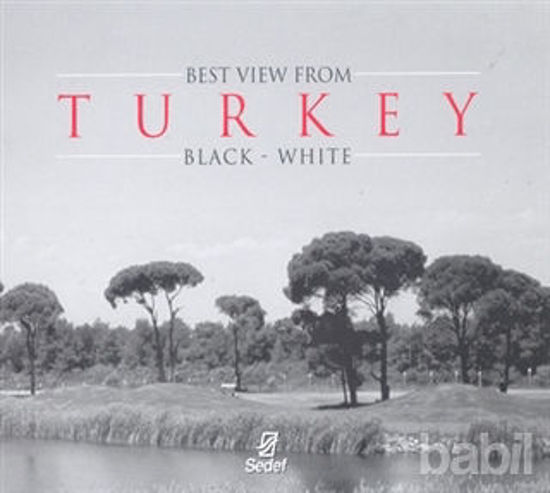 Picture of Best View From Turkey Black - White