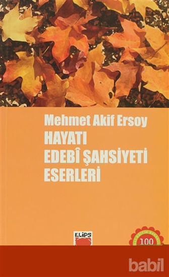 Picture of Mehmet Akif Ersoy Hayatı, Edebi Şahsiyeti, Eserleri