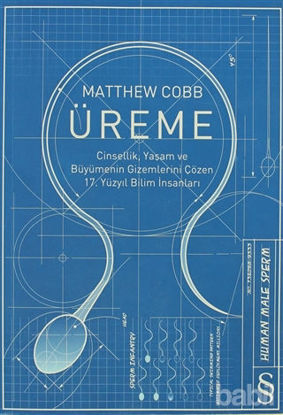 Picture of Üreme