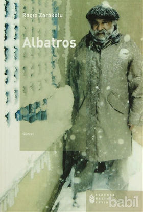 Picture of Albatros