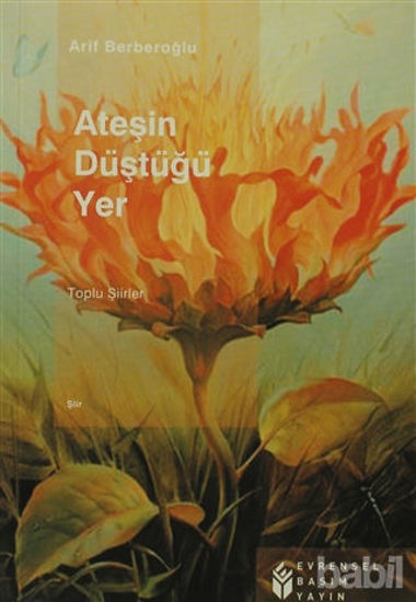 Picture of Ateşin Düştüğü Yer