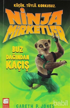 Picture of Ninja Mirketler - Buz Dağından Kaçış