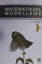 Picture of Matematiksel Modelleme