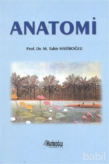 Picture of Anatomi