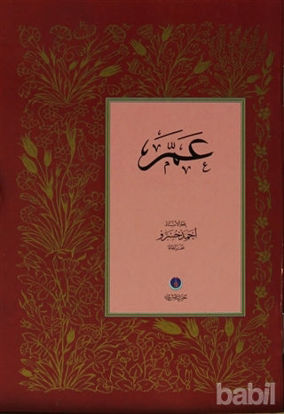 Picture of Amme Cüzü