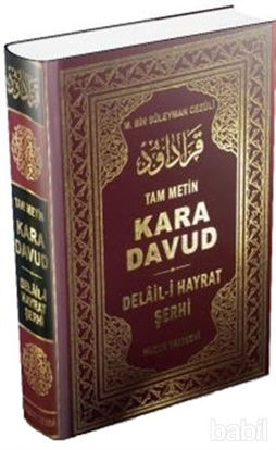 Picture of Kara Davud - Delail-i Hayrat Şerhi (Şamua)