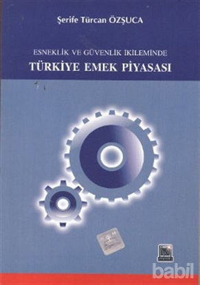 Picture of Esneklik ve Güvenlik İkileminde Türkiye Emek Piyasası