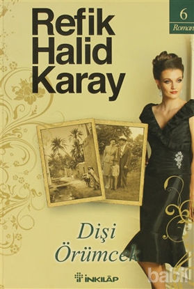 Picture of Dişi Örümcek