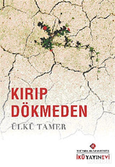 Picture of Kırıp Dökmeden