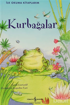 Picture of Kurbağalar