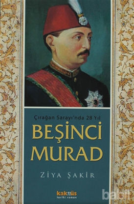 Picture of Beşinci Murad