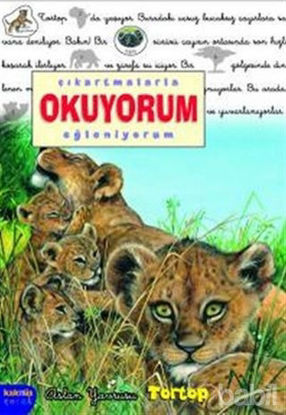 Picture of Çıkartmalarla Okuyorum Eğleniyorum - Aslan Yavrusu Tortop