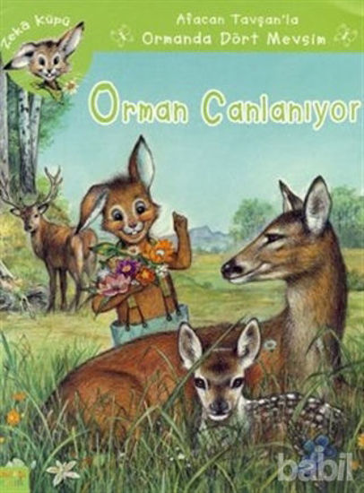 Picture of Orman Canlanıyor