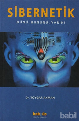 Picture of Sibernetik