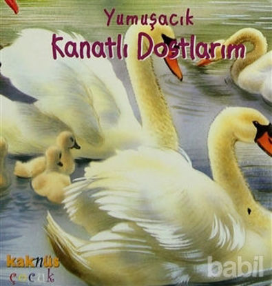 Picture of Yumuşacık Kanatlı Dostlarım