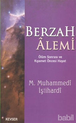 Picture of Berzah Alemi