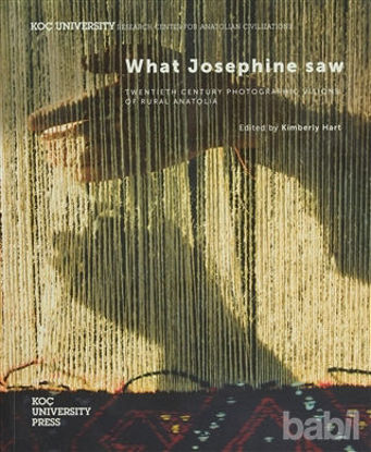 Picture of What Josephine Saw