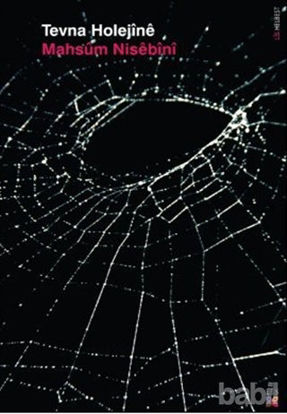 Picture of Tevna Holejine