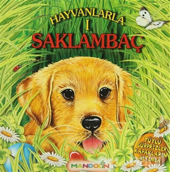 Picture of Hayvanlarla Saklambaç
