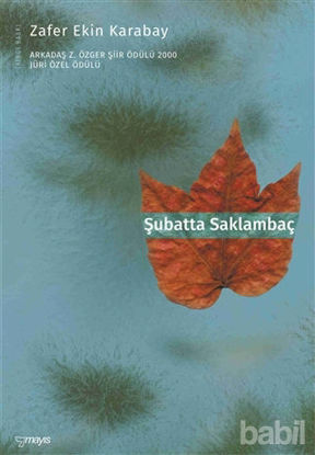 Picture of Şubatta Saklambaç
