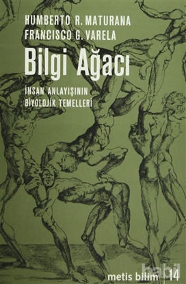 Picture of Bilgi Ağacı