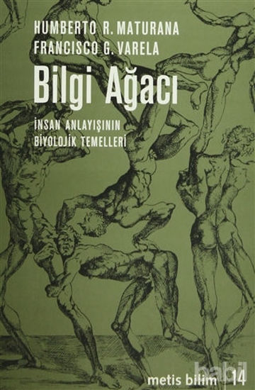 Picture of Bilgi Ağacı