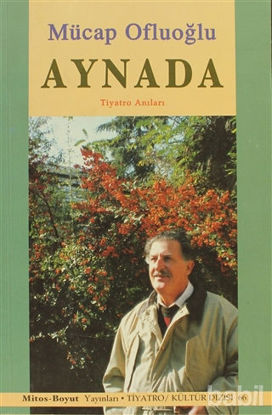 Picture of Aynada