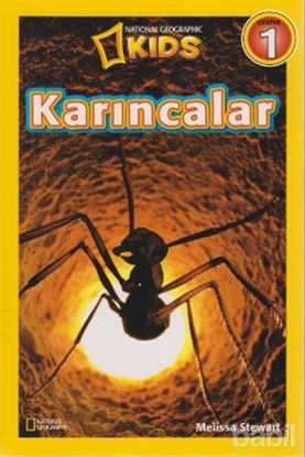 Picture of Karıncalar - Seviye 1