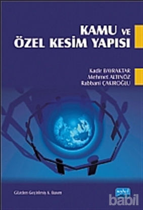 Picture of Kamu ve Özel Kesim Yapısı