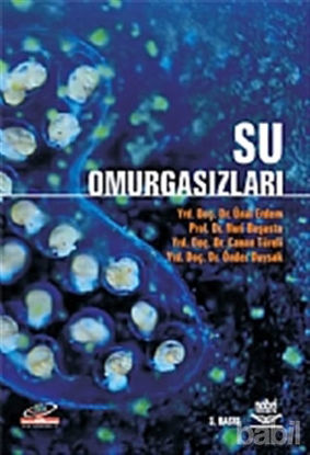 Picture of Su Omurgasızları