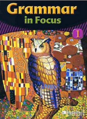 Picture of Grammar in Focus 1 with Workbook   CD