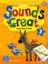 Picture of Sounds Great 3  2 Hybride CDs