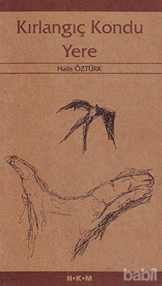 Picture of Kırlangıç Kondu Yere