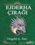 Picture of Ejderha Çırağı 3. Kitap