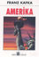 Picture of Amerika