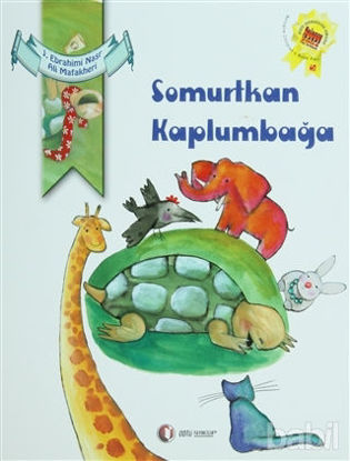 Picture of Somurtkan Kaplumbağa