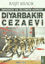 Picture of Diyarbakır Cezaevi