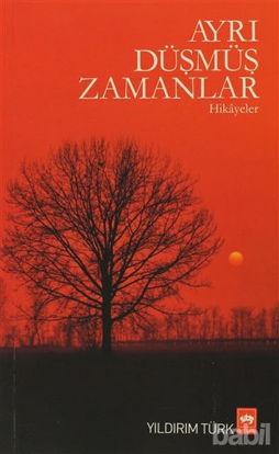 Picture of Ayrı Düşmüş Zamanlar