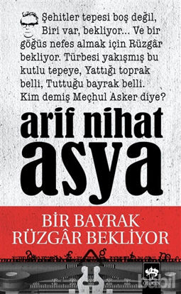 Picture of Bir Bayrak Rüzgar Bekliyor