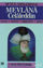 Picture of Bütün Yönleriyle Mevlana Celaleddin