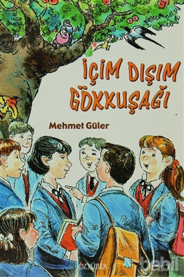 Picture of İçim Dışım Gökkuşağı