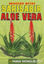 Picture of Mucize Bitki Sarı Sabır Aloe Vera (Bitki-017)