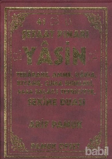 Picture of Şefaat Pınarı Yasin, Tebareke, Amme, Vakıa, Kıyame, Cuma Sureleri 4444 Salatı Tefriciyye Sekine Duası (Yas-122/P15)