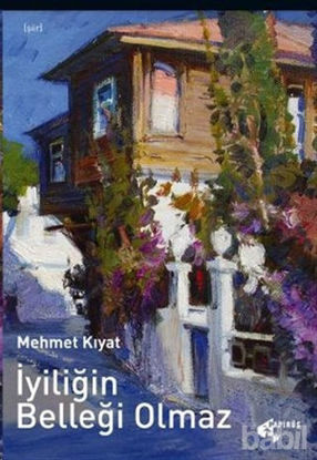 Picture of İyiliğin Belleği Olmaz