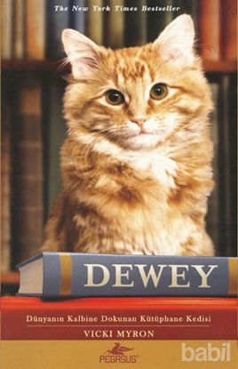 Picture of Dewey